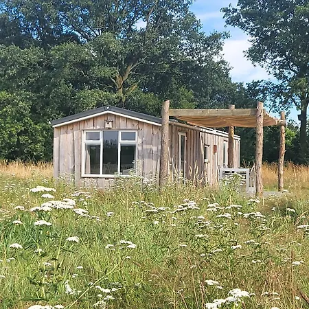 Chalet Hoeve Twente - Bosuil *