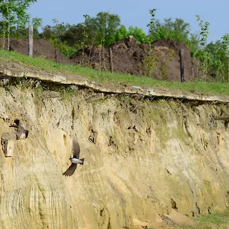 Hoeve Twente - Bosuil Heythuysen
